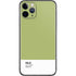 Nile Color Palette iPhone 11 Pro Skin
